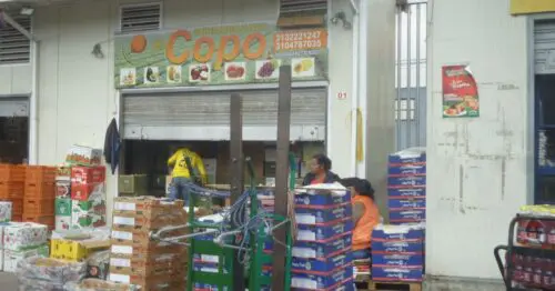 COMERCIALIZADORA DE FRUTAS EL COPO COMERCIALIZADORA DE FRUTAS EL COPO